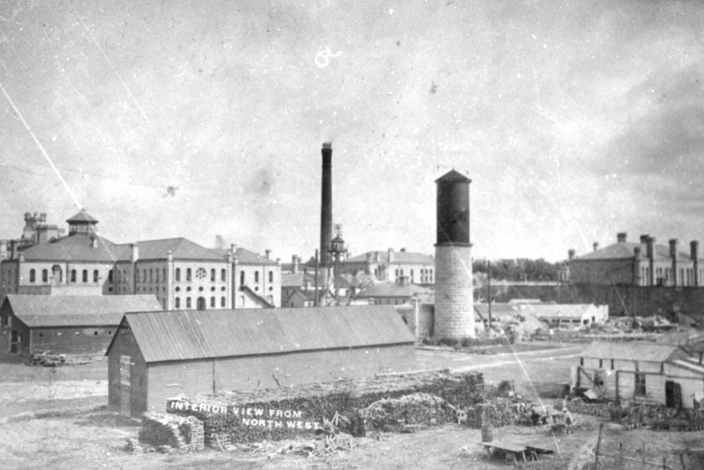 Yard View (from NW)