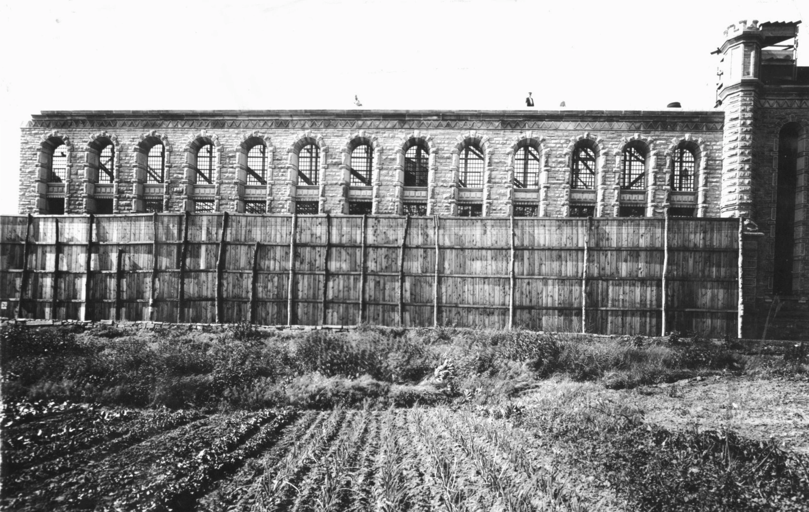 New Cellhouse