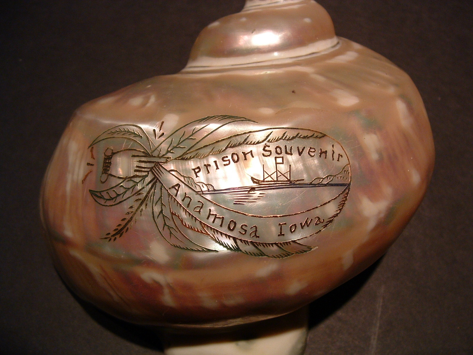 Shell Carvings